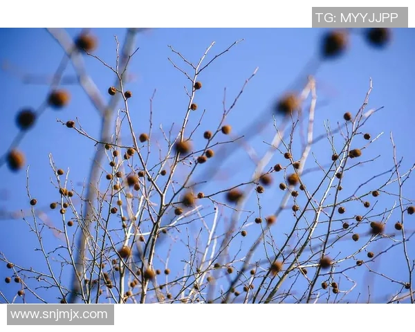 巴萨宣布续约梅西合同至2023年,工资再创新高,迎来黄金时代 巴萨宣布续约梅西合同至2023年,工资再创新高,迎来黄金时代