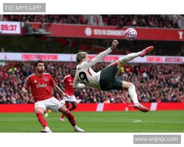 汉诺威96凭借胜利豪取保级关键三分