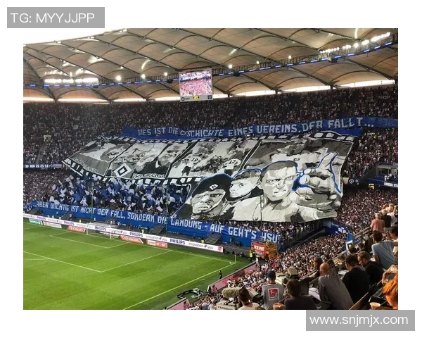 汉堡主场遭遇惨败失去德乙升级希望