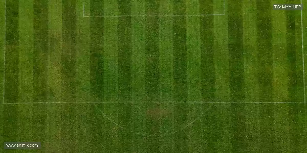 🎉 赛事回放随时看,经典瞬间一键收藏!